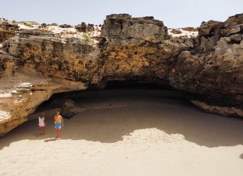 Picture 8 for Activity Boa Vista: Full-Day Island Tour