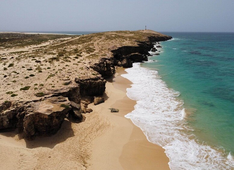 Picture 9 for Activity Boa Vista: Full-Day Island Tour