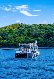 Tamarindo: Pacific Lounge Catamaran Sunset Public Tour