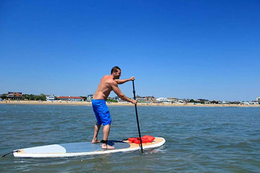 Picture 1 for Activity Virginia Beach: Dolphin Stand-Up Paddleboard Tour