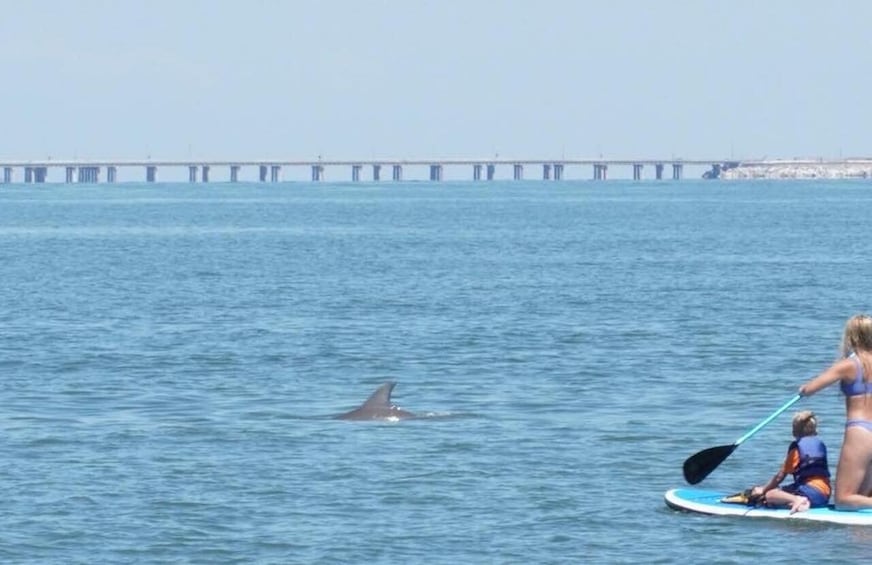 Picture 2 for Activity Virginia Beach: Dolphin Stand-Up Paddleboard Tour