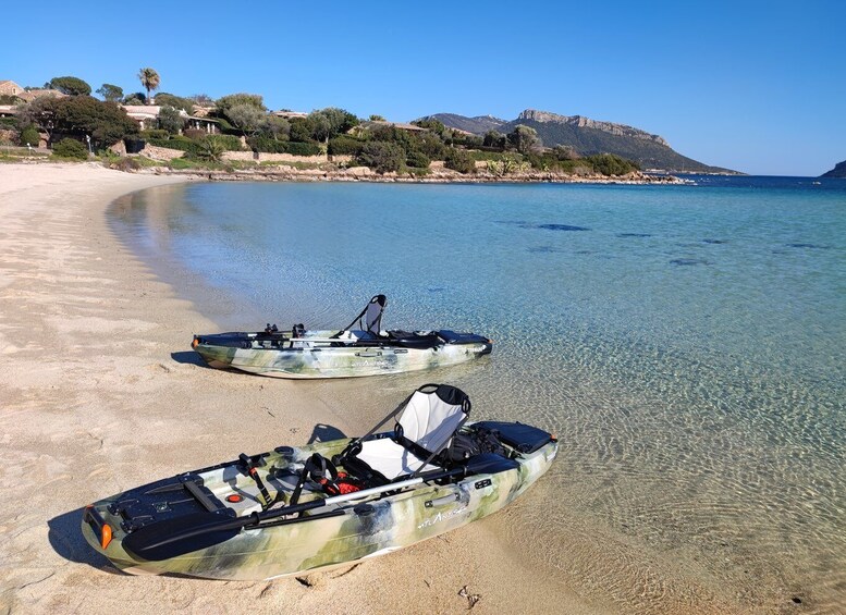Picture 7 for Activity Kayak tour in Cala Moresca - Aperitif and Dolphin watching