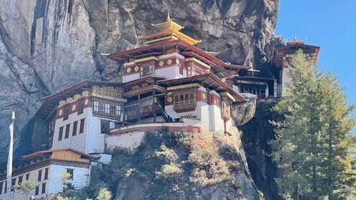 The Best of Bhutan in 5 nights, Punakha, Thimphu and Paro