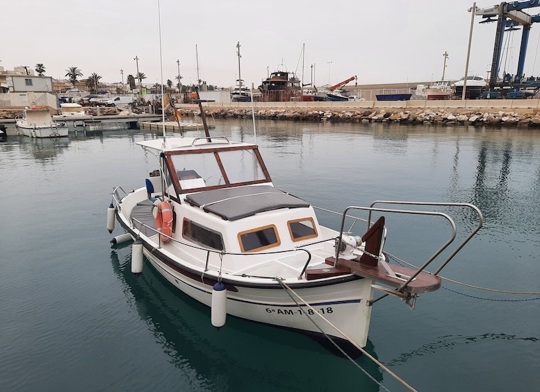 Picture 12 for Activity From Garrucha: Mojácar, Vera, and Carboneras Boat Cruise