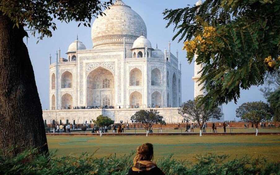 Picture 4 for Activity From Delhi/Jaipur: Taj Mahal, Agra Trip with Lunch/Entry