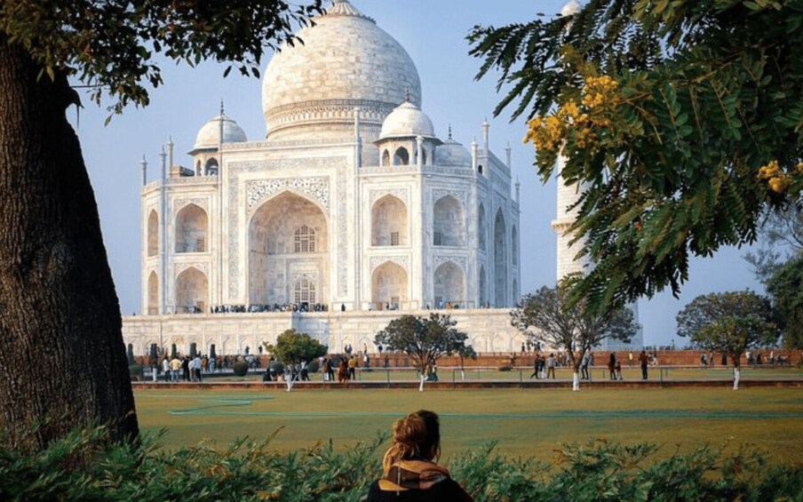 Picture 4 for Activity From Delhi/Jaipur: Taj Mahal, Agra Trip with Lunch/Entry