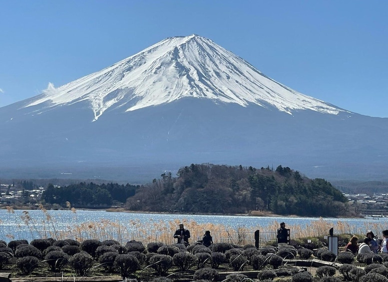 Picture 7 for Activity FROM TOKYO : MOUNT FUJI & HAKONE CUSTOMIZE PRIVATE DAY TOUR