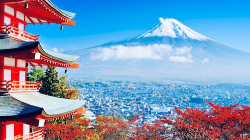 Fra Tokyo: Privat dagstur til Fuji-fjellet og Hakone