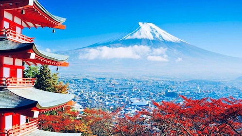 Desde Tokio: tour privado de un día al monte Fuji y Hakone