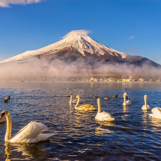 Picture 1 for Activity 1 Day Mount Fuji & Hakone Private Tour – With English Guide