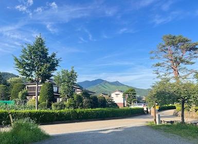 Desde Tokio: tour privado de un día al monte Fuji y Hakone