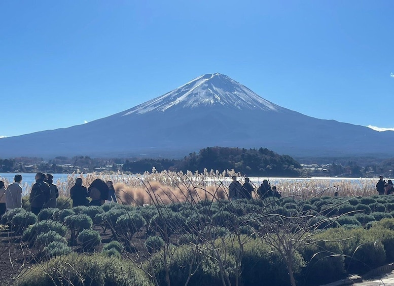 Picture 9 for Activity FROM TOKYO : MOUNT FUJI & HAKONE CUSTOMIZE PRIVATE DAY TOUR