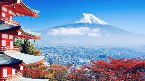 富士山和箱根私人觀光一日遊（汽車和麵包車）
