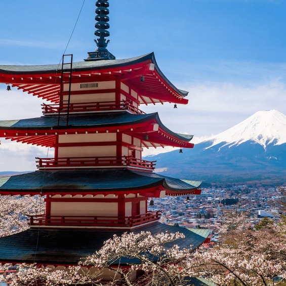 Picture 1 for Activity From Tokyo: Mount Fuji Day Trip by private Van