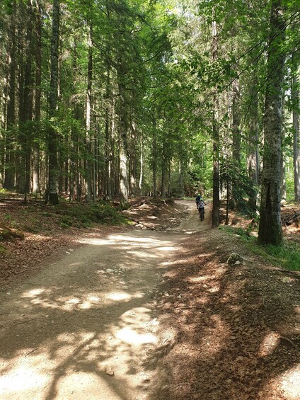 Picture 7 for Activity From Brasov: Viscri , Meshendorf , Bunesti Ebike Tour