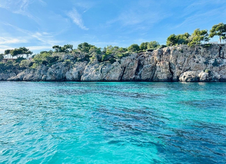 Picture 6 for Activity Palma: Private Boat Trip in Mallorca with Snorkeling