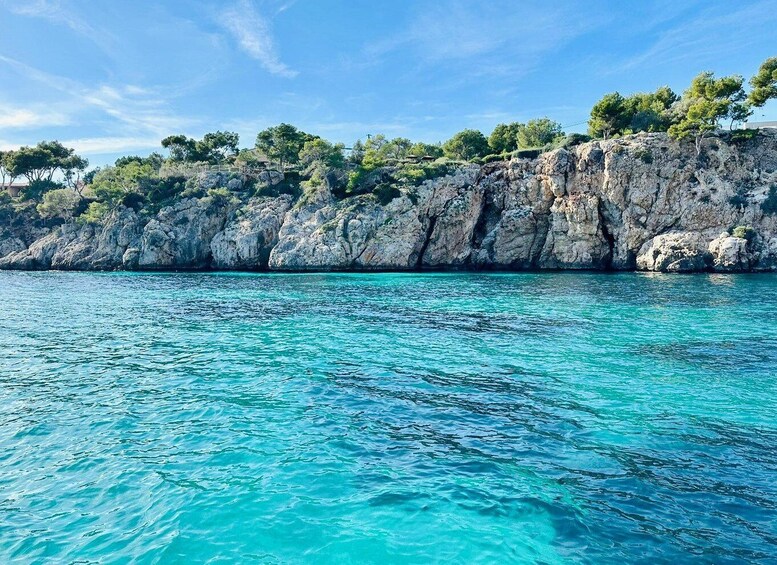 Picture 5 for Activity Mallorca: Bay of Palma Private Cruise with Snorkeling