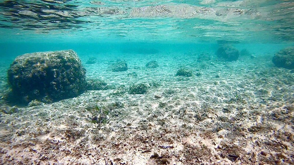 Picture 5 for Activity Palma: Private Boat Trip in Mallorca with Snorkeling