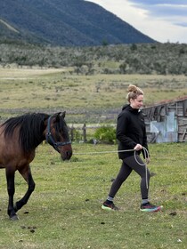 Puerto Natales: Horseback Riding with Horse Connection