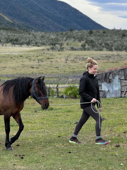 Puerto Natales: Horseback Riding with Horse Connection