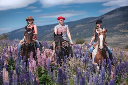 Puerto Natales: paseos a caballo con Horse Connection