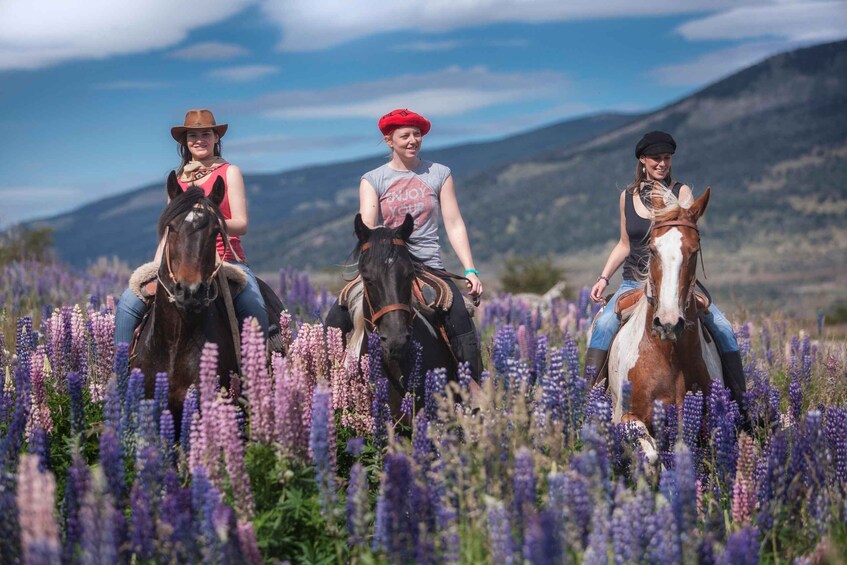 Puerto Natales: Horseback Riding with Horse Connection