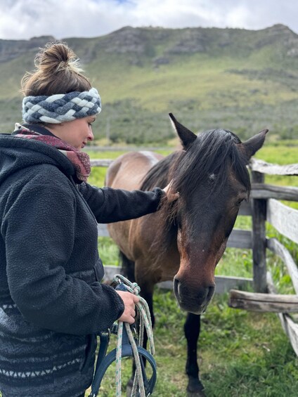 Picture 1 for Activity Puerto Natales: Horseback Riding with Horse Connection