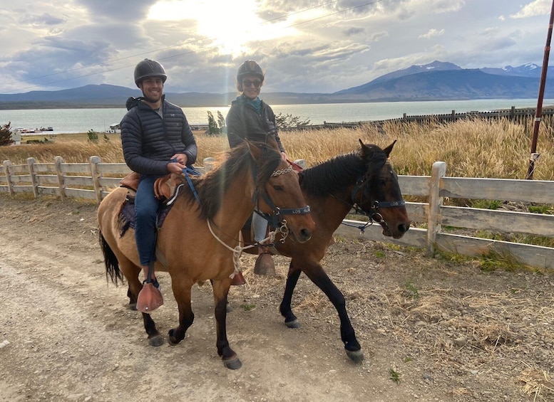 Picture 7 for Activity Puerto Natales: Horseback Riding with Horse Connection