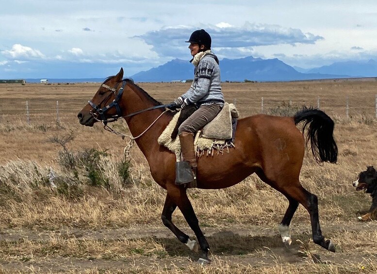 Picture 10 for Activity Puerto Natales: Horseback Riding with Horse Connection