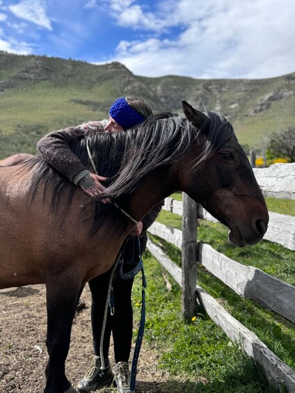 Picture 7 for Activity Puerto Natales: Horseback Riding with Horse Connection