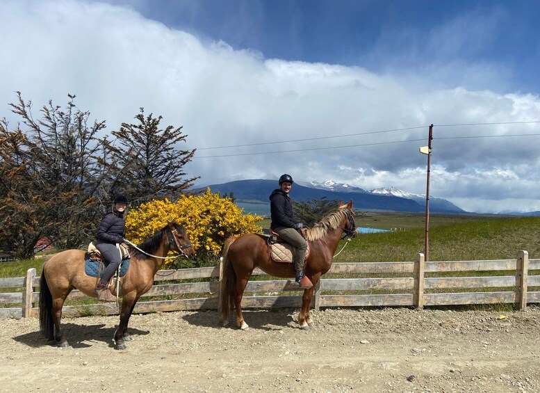 Picture 4 for Activity Puerto Natales: Horseback Riding with Horse Connection