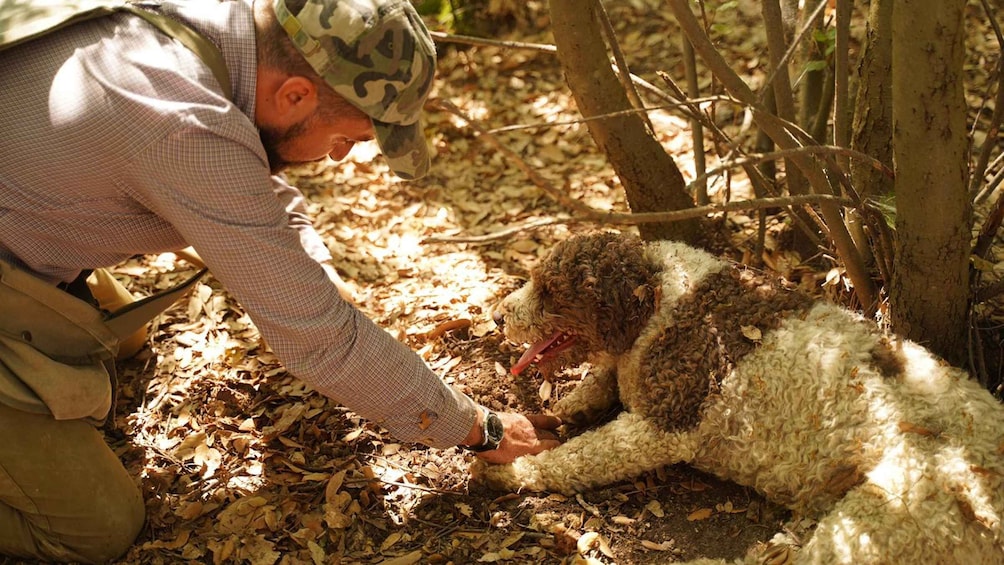 Pisa: Truffle Hunting in Tuscany with Tasting and Lunch