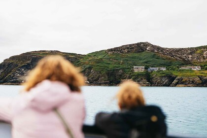 Dublin: Howth Coast and Ireland's Eye Boat Tour
