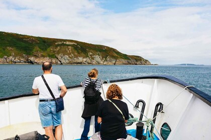 Dublin: Howth Coast and Ireland's Eye Boat Tour
