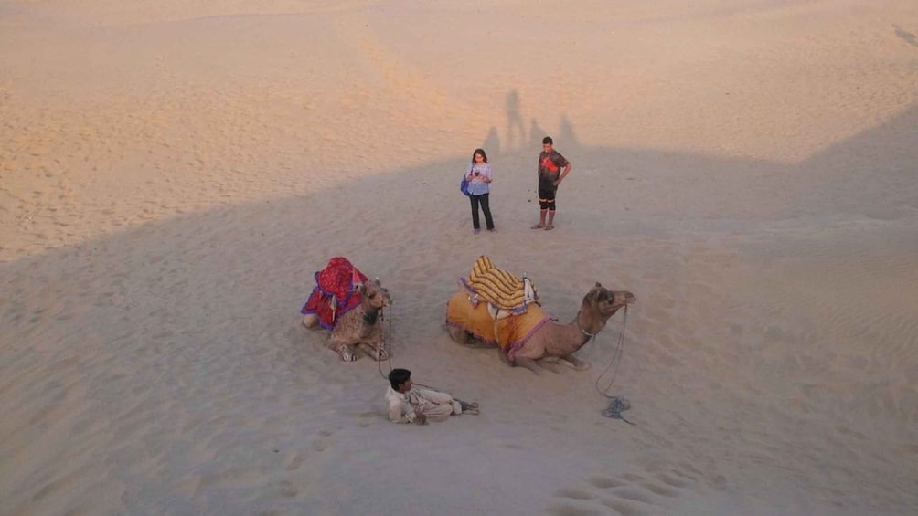 Picture 9 for Activity Jaisalmer: Evening Desert Tour by Car and Camel Safari