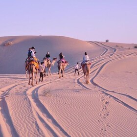 Jaisalmer: Evening Desert Tour Camel Safari and by Car