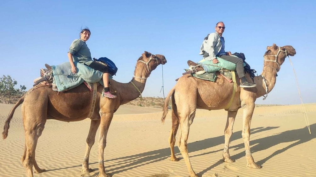 Picture 2 for Activity Jaisalmer: Evening Desert Tour by Car and Camel Safari