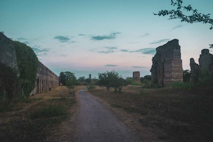 Rome: Mini hike to the ancient Parco degli Acquedotti