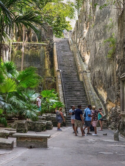 Picture 5 for Activity Nassau: City Sightseeing Tour with Rum Cake Tasting