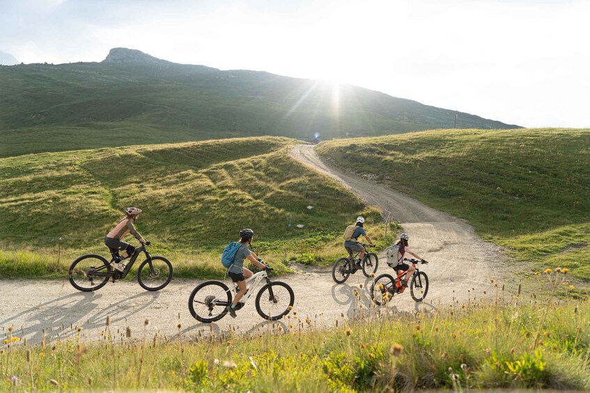 Picture 3 for Activity Chamonix, discovery of the valley by electric mountain bike