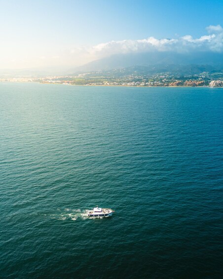Picture 25 for Activity Estepona: Dolphins Searching Sea Cruise with Drink & Snacks