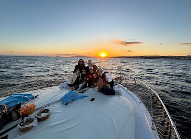 Estepona: zeecruise op zoek naar dolfijnen/drankjes en snacks