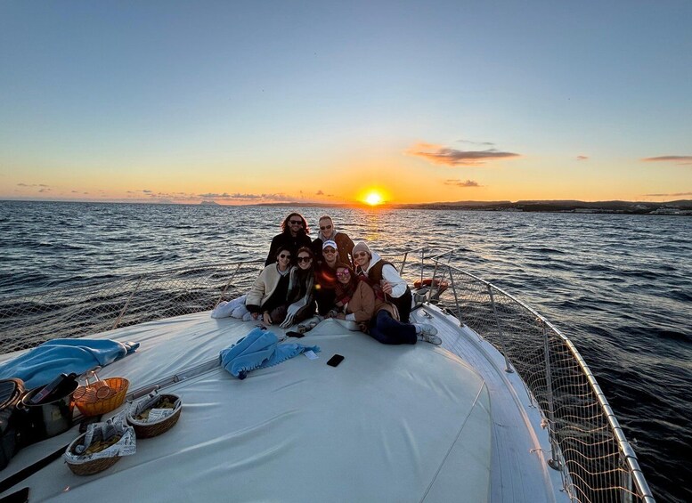 Estepona: Dolphins Searching Sea Cruise with Drink & Snacks