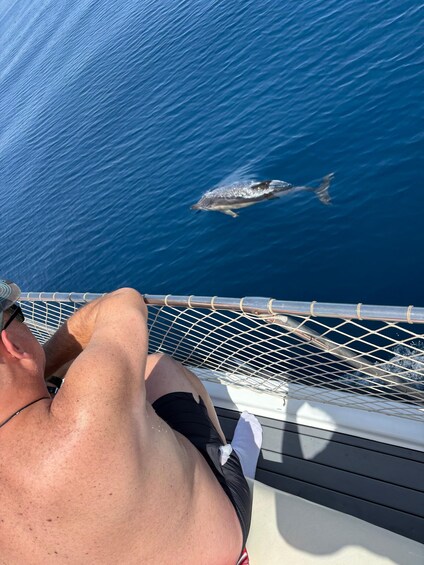 Picture 61 for Activity Estepona: Dolphins Searching Sea Cruise with Drink & Snacks