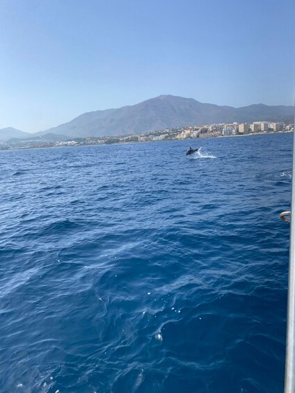 Picture 13 for Activity Estepona: Sea Cruise in Search of Dolphins/Drink & Snacks