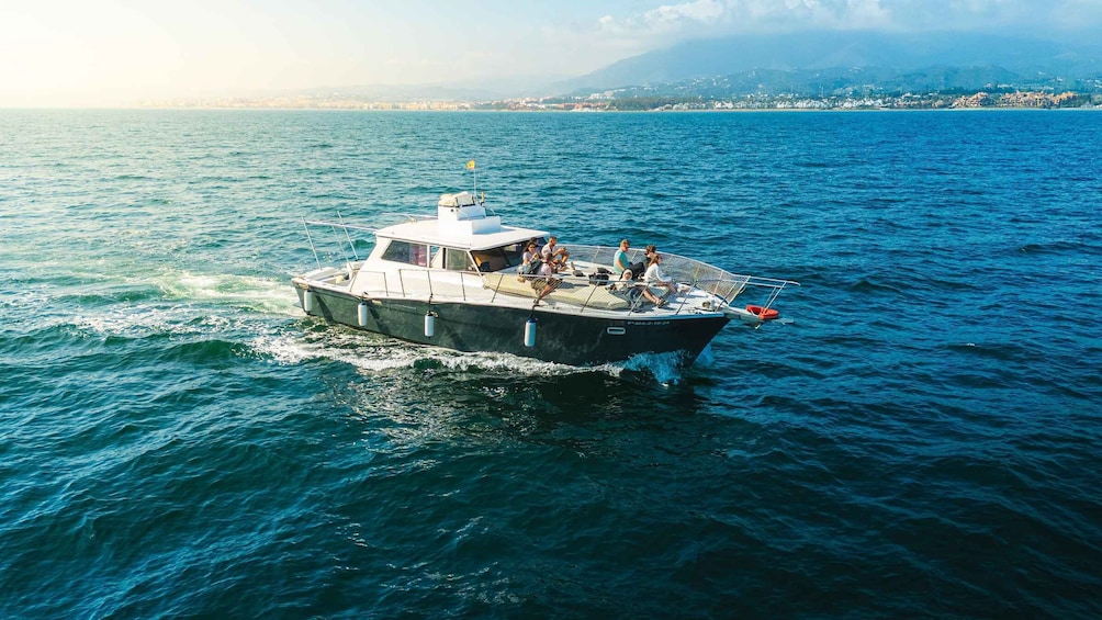 Picture 24 for Activity Estepona: Dolphins Searching Sea Cruise with Drink & Snacks