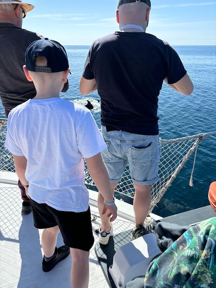 Picture 36 for Activity Estepona: Dolphins Searching Sea Cruise with Drink & Snacks