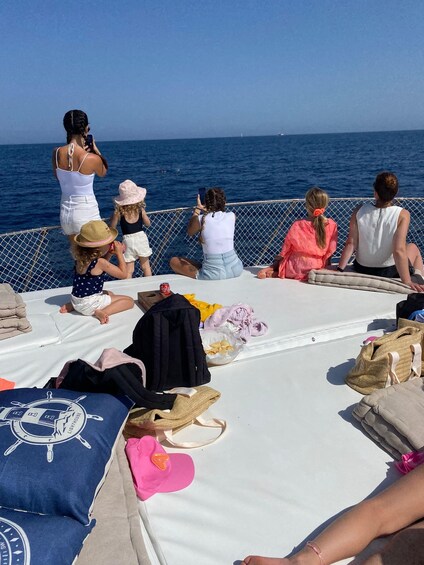 Picture 12 for Activity Estepona: Sea Cruise in Search of Dolphins/Drink & Snacks