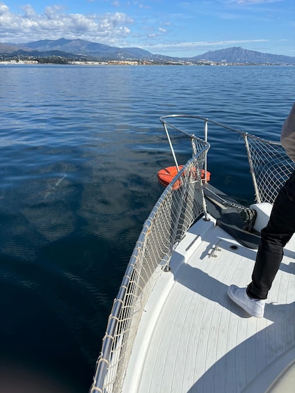 Picture 28 for Activity Estepona: Dolphins Searching Sea Cruise with Drink & Snacks