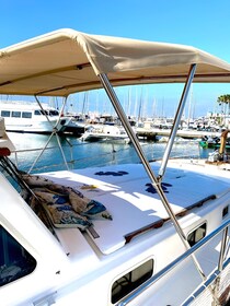 Estepona : croisière en mer à la recherche des dauphins/boisson et collatio...